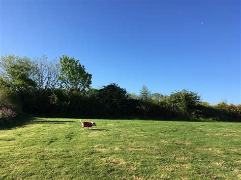 PENHALVEAN POTTERY CAMPSITE (Redruth, Cornwall) - Campground Reviews ...