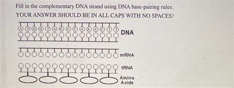 Image result for How to Make DNA Complementary Strands