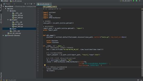 Python 3.10 Setup 的图像结果