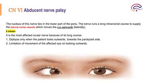 cranial nerve examination & theoritical | PPTX