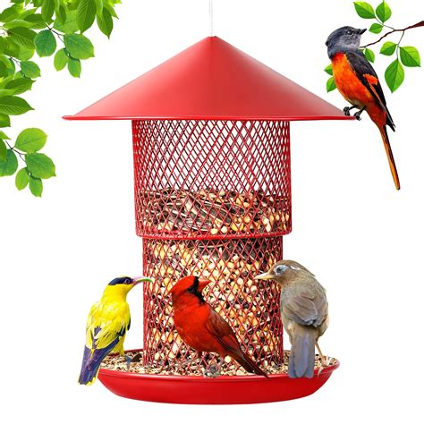 Bird Feeders for Outside Squirrel Proof. Cardinal Bird Feeder. Metal ...