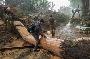 What causes flash floods? Here's how they get so destructive so quickly ...