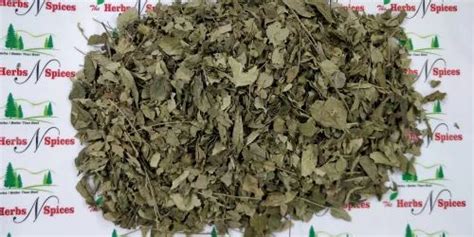 Indian Spices - Cumin Seeds - Jeera Manufacturer from Neemuch