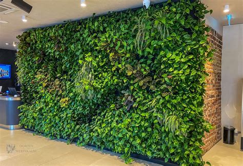 Indoor vertical gardens / Indoor Green Walls