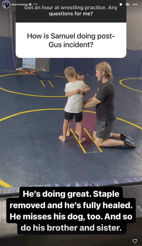 Sean Lowe rehomes family dog after head bite sends son to ER