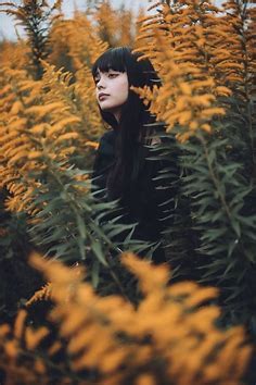 Image result for JavaScript JPEG Pictures