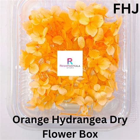 Orange Hydrangea Dry Flower Box – Resinhastkala Store