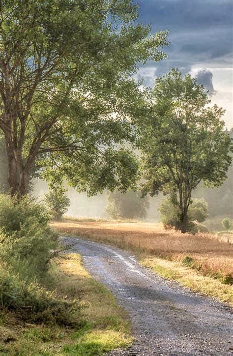 Country Road 的图像结果