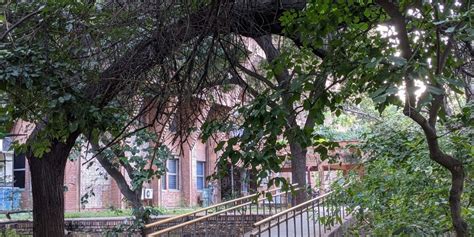 Amid Widespread Backlash, JNU Changes Language in ICC Circular on ...