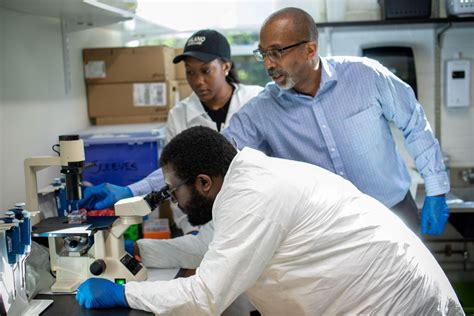 Free Training-Become A Lab Tech in 2023/2024: Get Ready For Your New ...