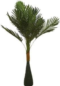 WhiteAsh Coconut Tree Artificial Plant Price in India - Buy WhiteAsh ...