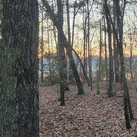 Cabin Lake County Park | Pink Hill, NC