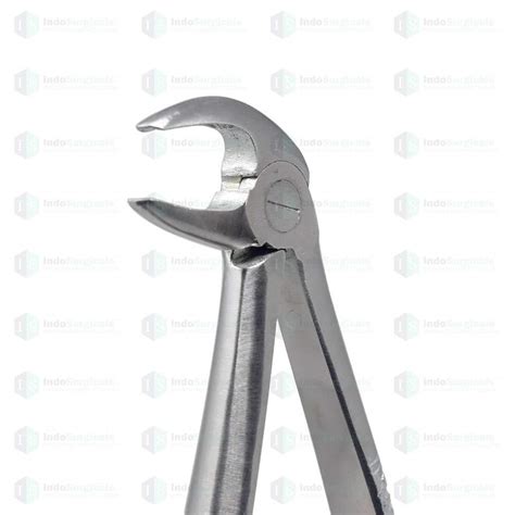 IS IndoSurgicals Lower Premolars #13 Dental Extraction Forceps : Amazon ...