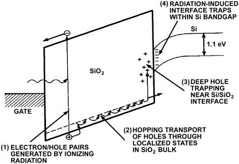 Image result for Example Module