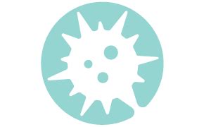 Increase Productivity of your mAb Processes