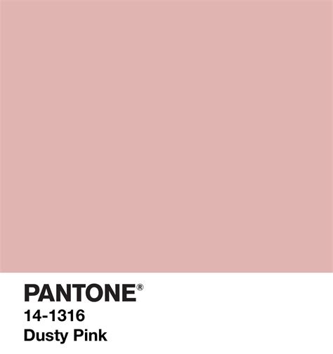 Dusty Pink Color Swatches