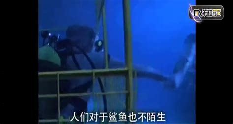 大海啸之鲨口逃生-在线观看-360影视