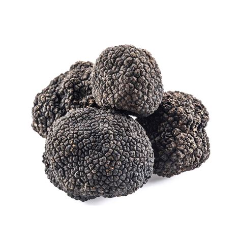 Périgord Black Winter Truffles (Tuber Melanosporum) | Truffles, Summer ...
