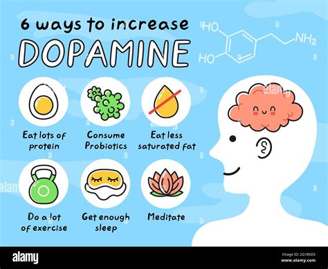 What Increases Dopamine In The Brain
