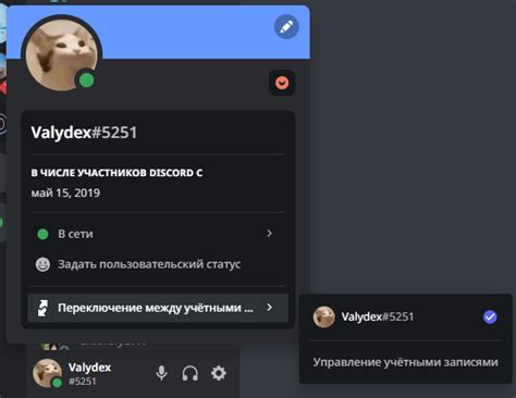 Искусство мультиаккинга (Discord) — Teletype