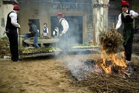 Conca de Barbera Tourism (2024): All You Need to Know Before You Go