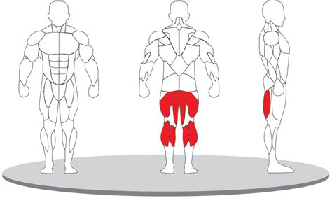 Top and Best Prone Leg Curl F-5001