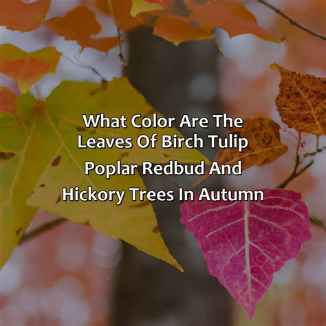 What Color Represents Smart - colorscombo.com