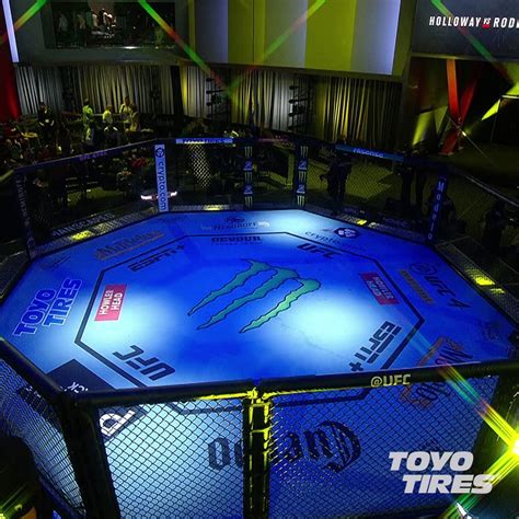 UFC Boxing 的图像结果