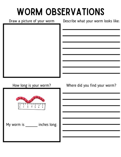 Image result for Worm Microscope Observations Worksheet
