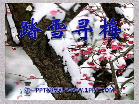 踏雪寻梅海报图片-踏雪寻梅海报图片素材免费下载-千库网