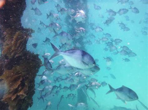 The Dive Shack (Keswick) - 2022 What to Know Before You Go (with Photos ...