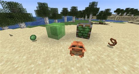 Image result for Slime Farm Tutorial
