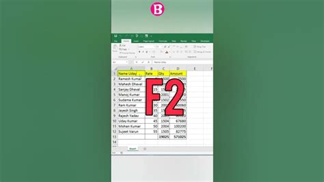 Image result for F2 Function Key Uses