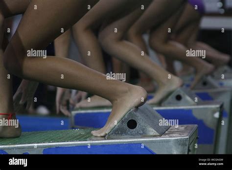 Swimmer Starting Block 的图像结果