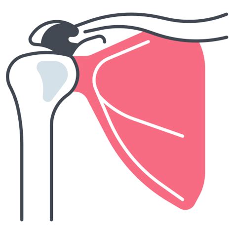 Shoulder Exercise Icon 的图像结果