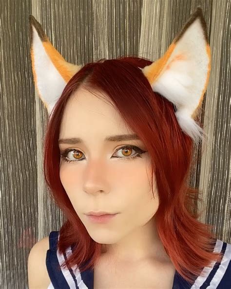 Image result for Fox in Python Code