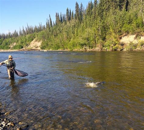 Copper River Guides Fishing Charters | Salmon & Trout | ALASKA.ORG