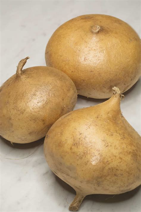 Jicama singkamas – Artofit