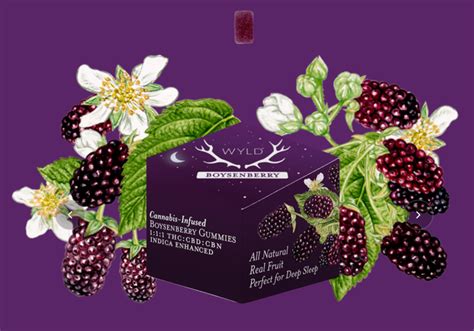 Buy Wyld - Boysenberry - 1:1:1 THC CBD CBN - Indica Enhanced at Greenstone