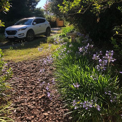 GRANNY MOUSE HOUSE (Hogsback, Eastern Cape) - Inn Reviews & Photos ...