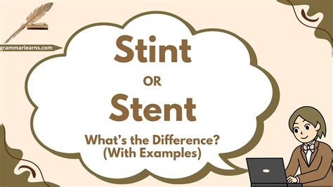 Stint or Stent - What’s the Difference? (With Examples) - grammarlearns.com