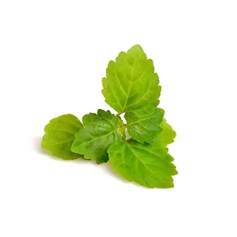 Patchouli Hydrosol - Purenso Select