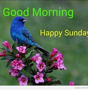 Image result for Happy Sunday Motivational Quotes