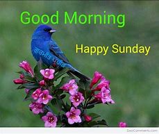 Image result for Good Morning Happy Sunday Quotes