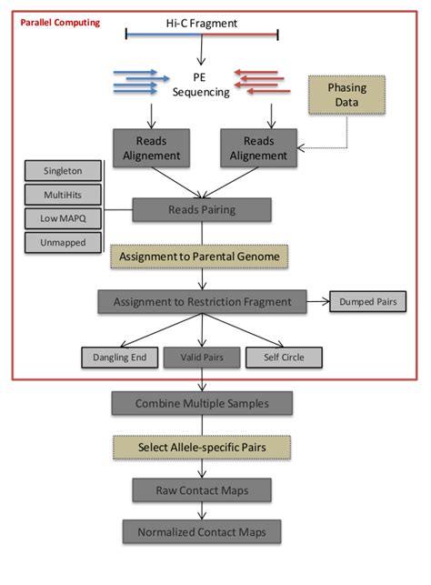 Image result for Basic Hic Command Structure and Function