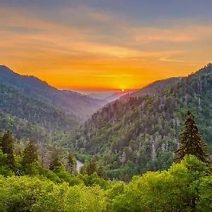 The Appalachian Reseller | eBay Stores