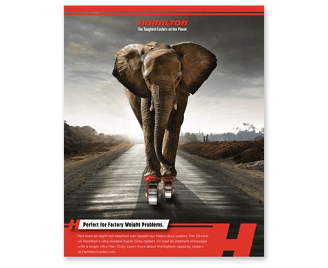 B2B Marketing Campaign Examples and Templates to be More Successful