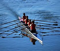 Image result for rowed