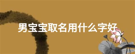 2021宝宝学汉字v9.55.05.10老旧历史版本安装包官方免费下载_豌豆荚