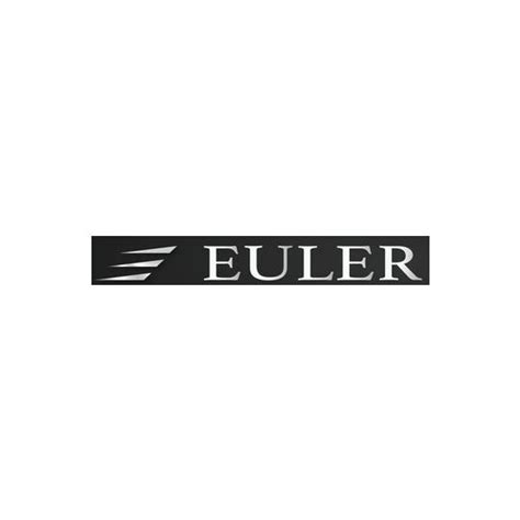 EULER-logo Raglan Double tip polo t-shirt India